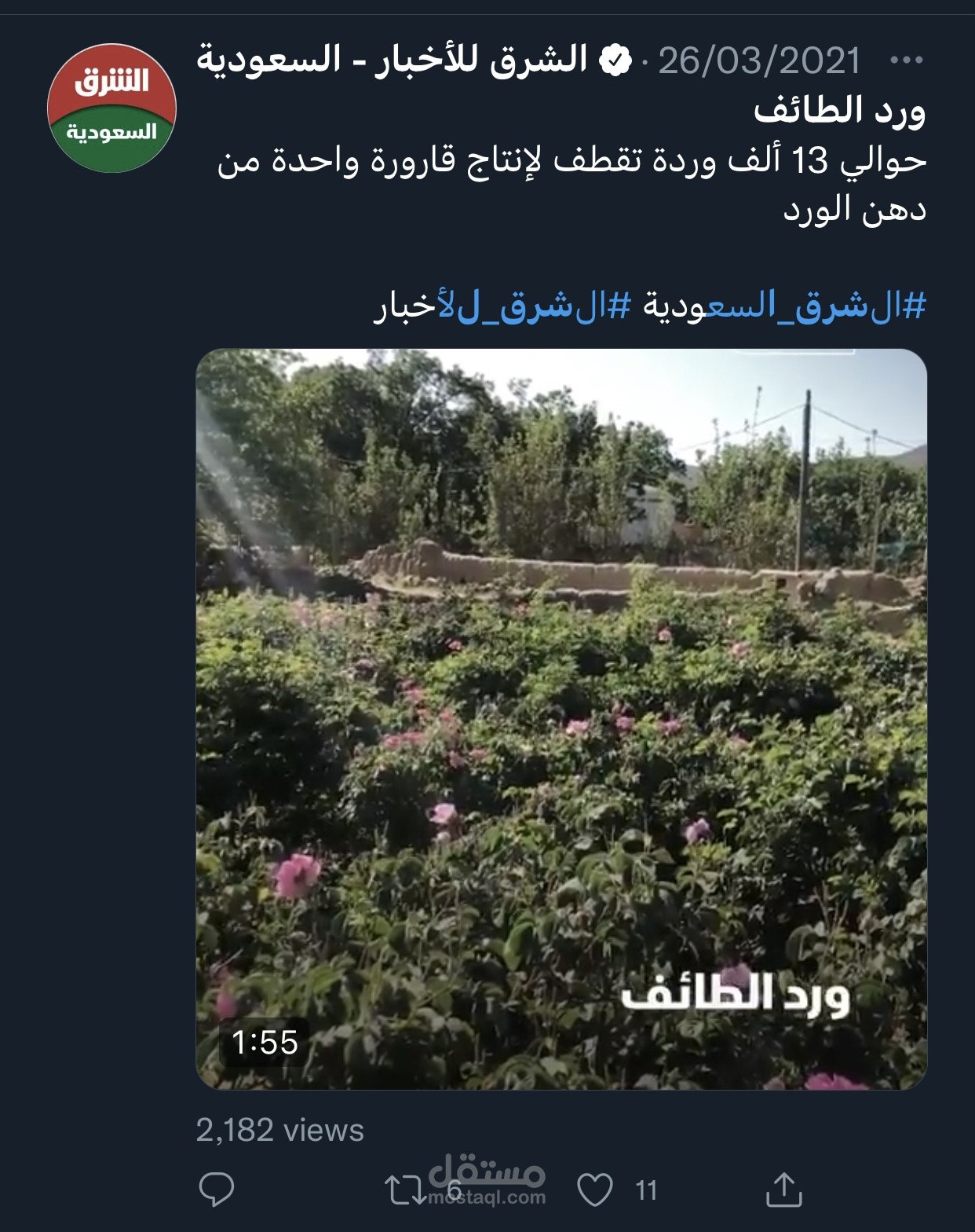 ورد الطائف - الشرق بلومبرق