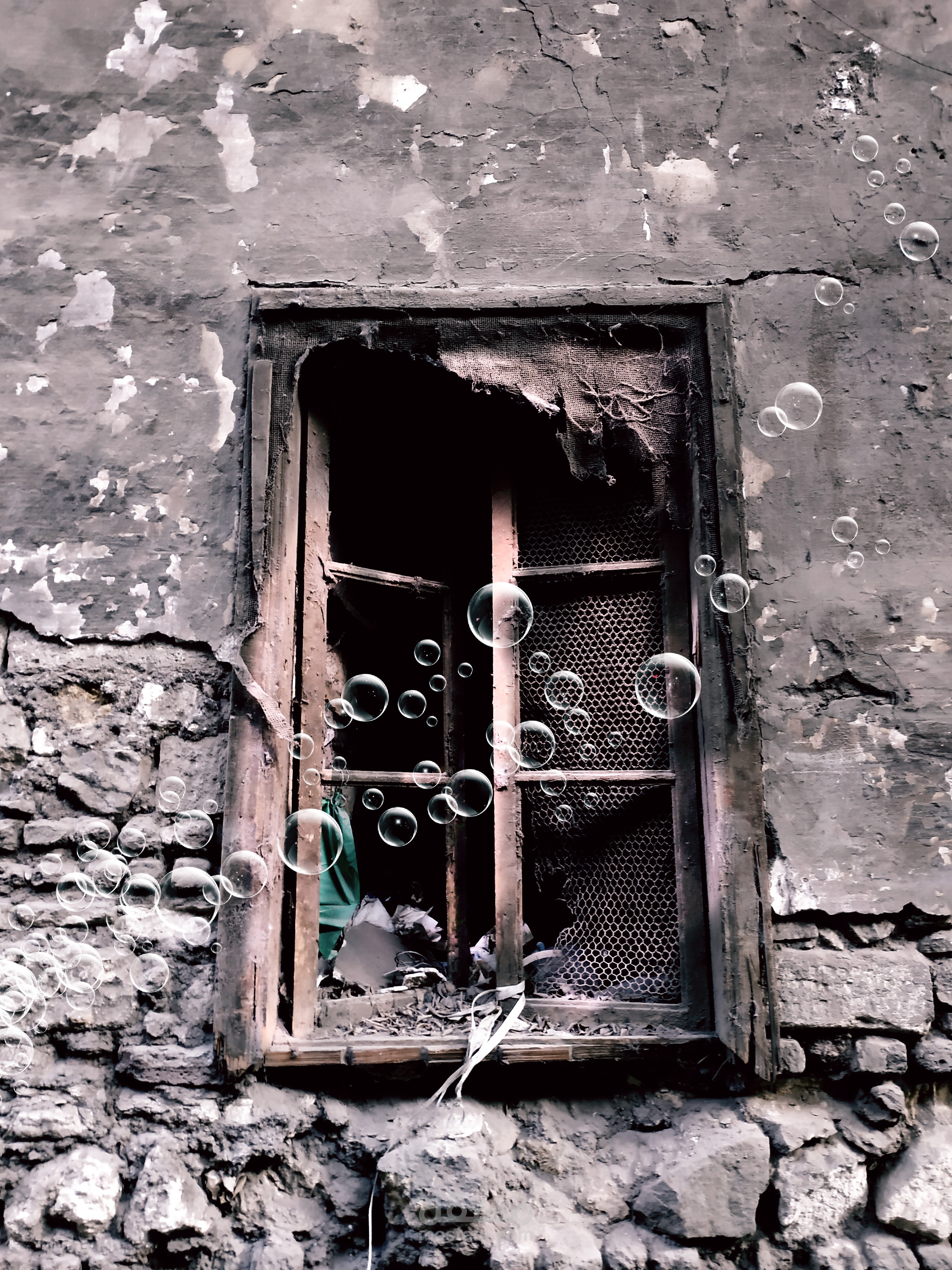 صور مختلفة من تصويرى