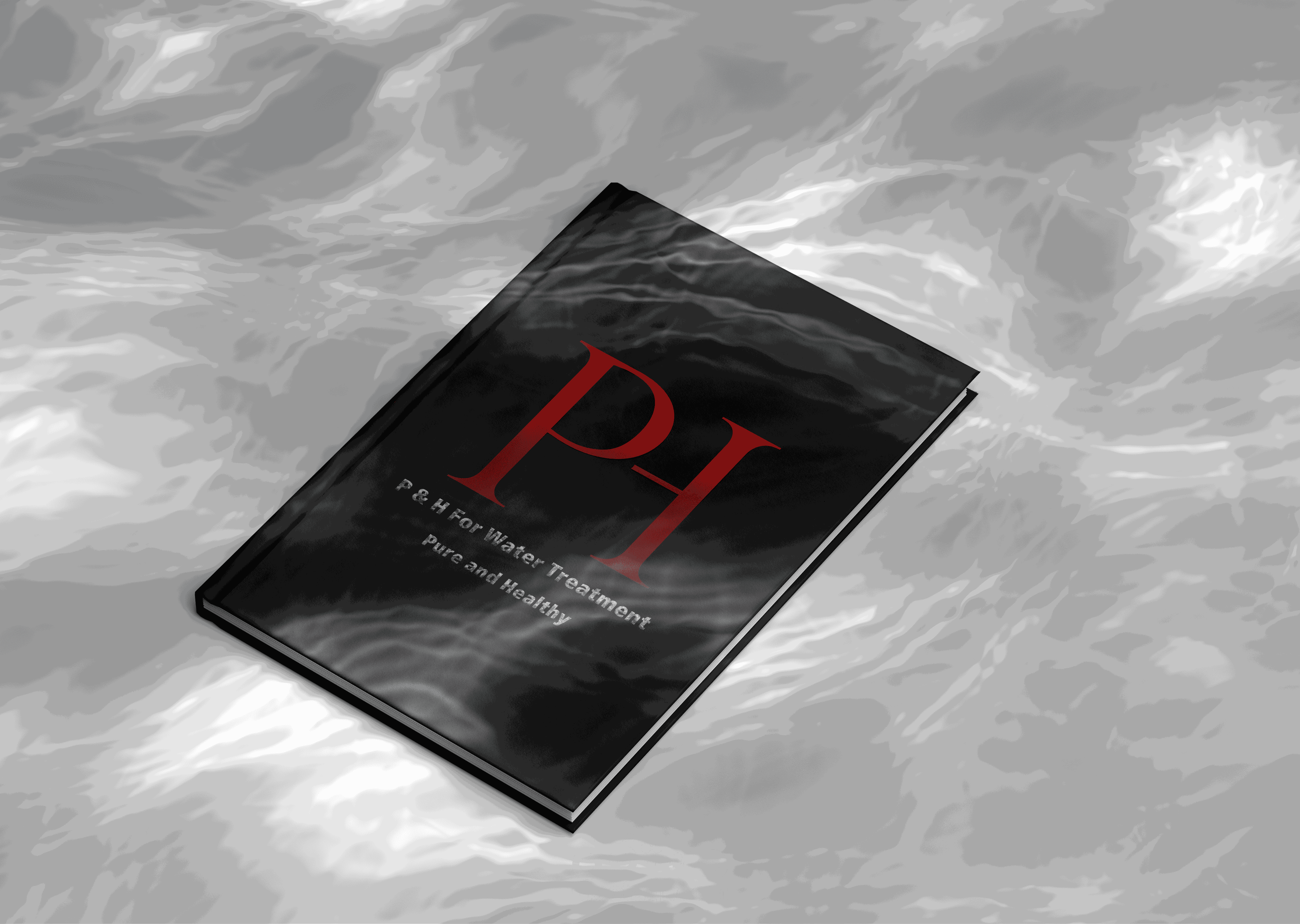 Logo for P&H Comany & Brand visual identity