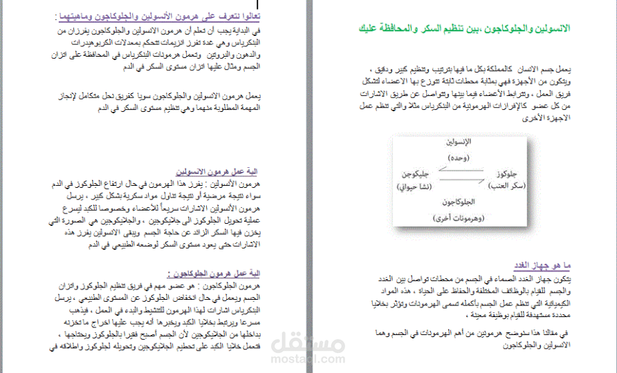 كتابة محتوى موافق للسيو