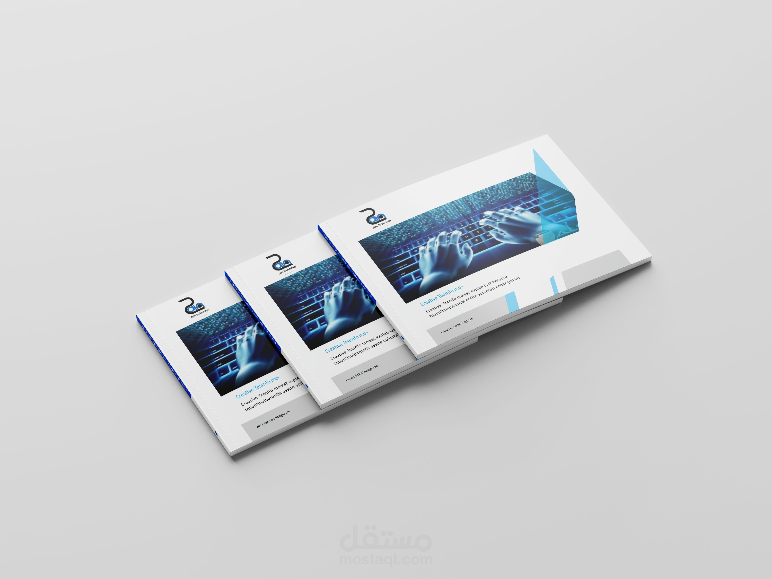 Profile for an IT company