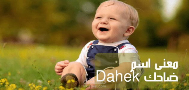 معنى اسم ضاحك؛ أبرز معاني Dahek اللغوية والنفسية ووروده في القرآن الكريم