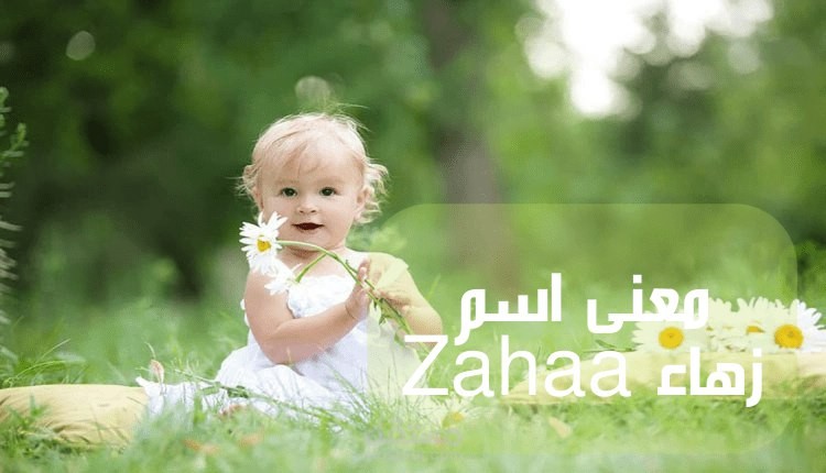 معنى اسم زهاء Zahaa؛ أبرز 10 صفات حاملة اللقب