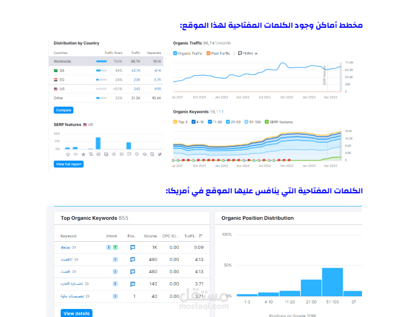 تحليل المواقع والمواقع المنافسة وكشف الثغرات وتقديم الحل لرفع SEO الموقع