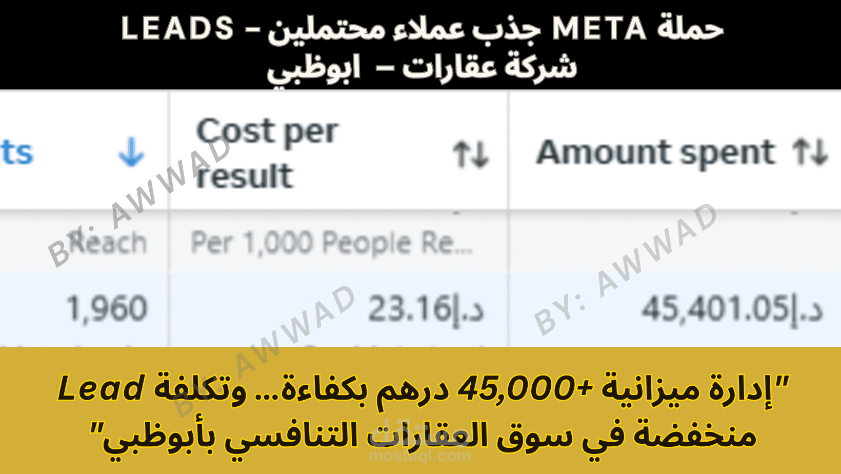 حملة  جذب عملاء محتملين - LEADS  شركة عقارات –  ابوظبي