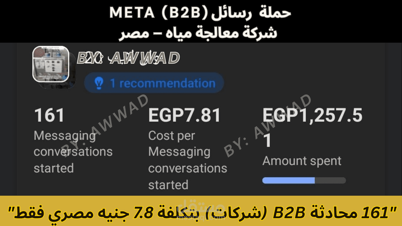 حملة  رسائل (META (B2B   شركة معالجة مياه – مصر