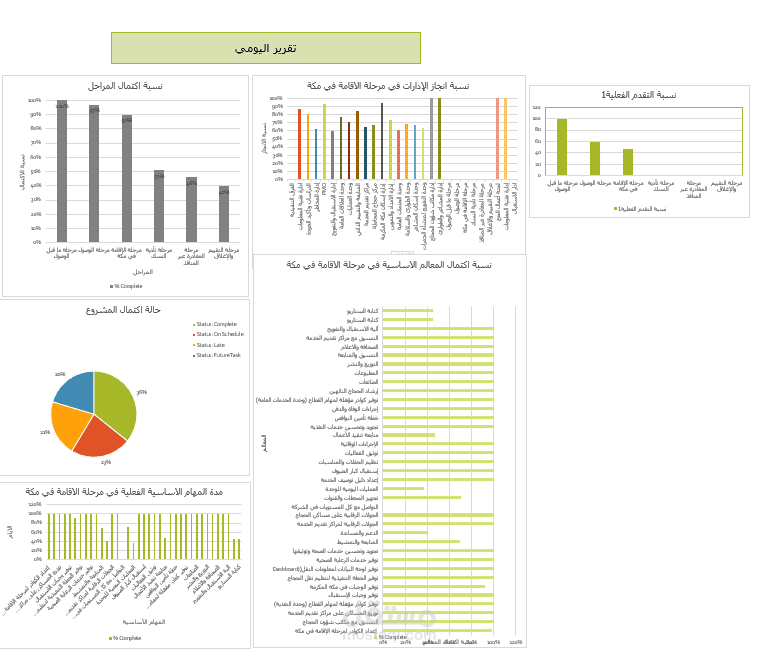 تنسيق جدول العمل على MS  PROJECT  وتجهيز DASHBOARD