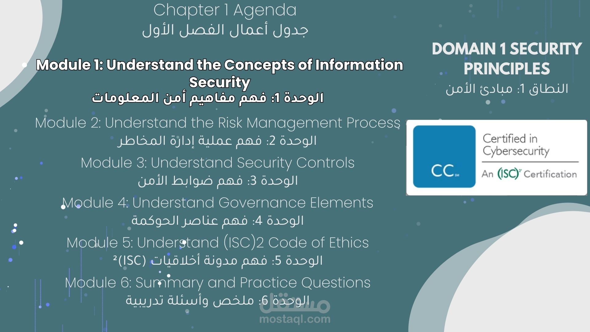 ترجمة تقنية وتصميم عرض تقديمي من 220 صفحة بتقييم 100%