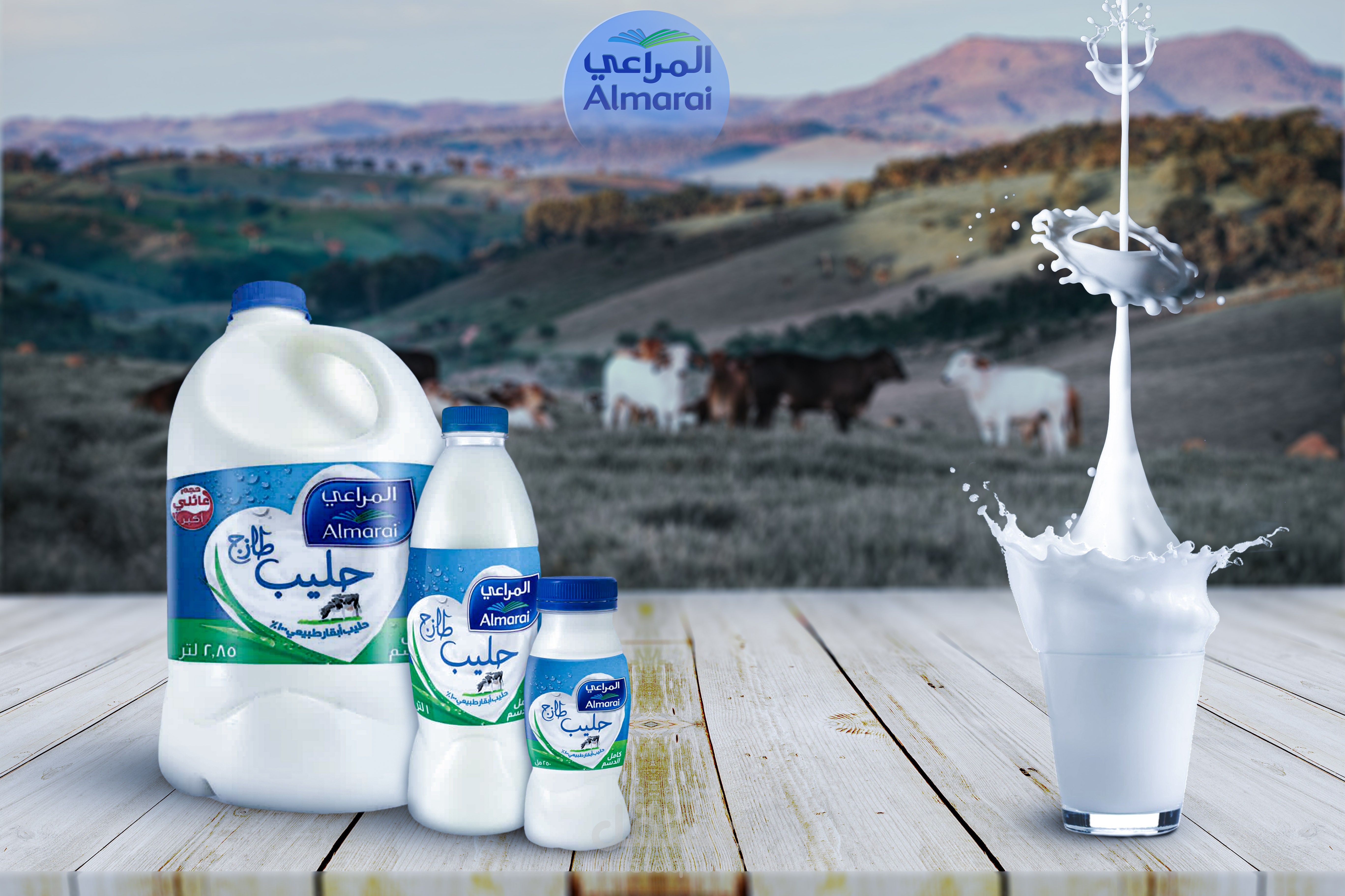 Almarai Social Media Design