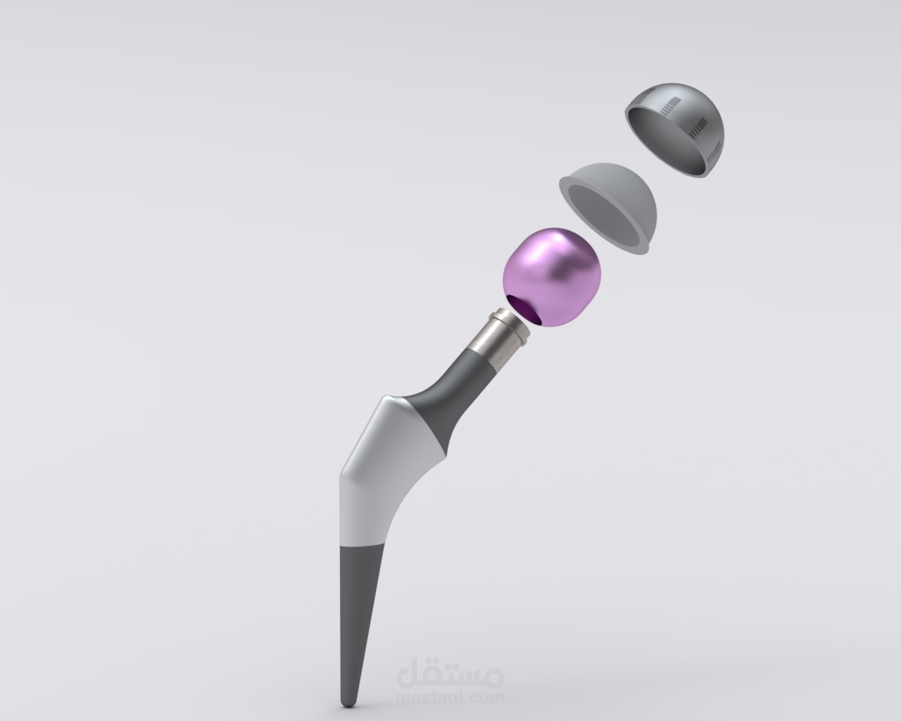 Total Hip Replacement