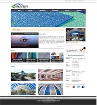 موقع شركة سيلفر