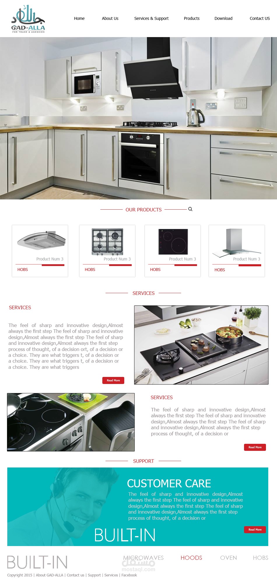 تصميم موقع - استضافة