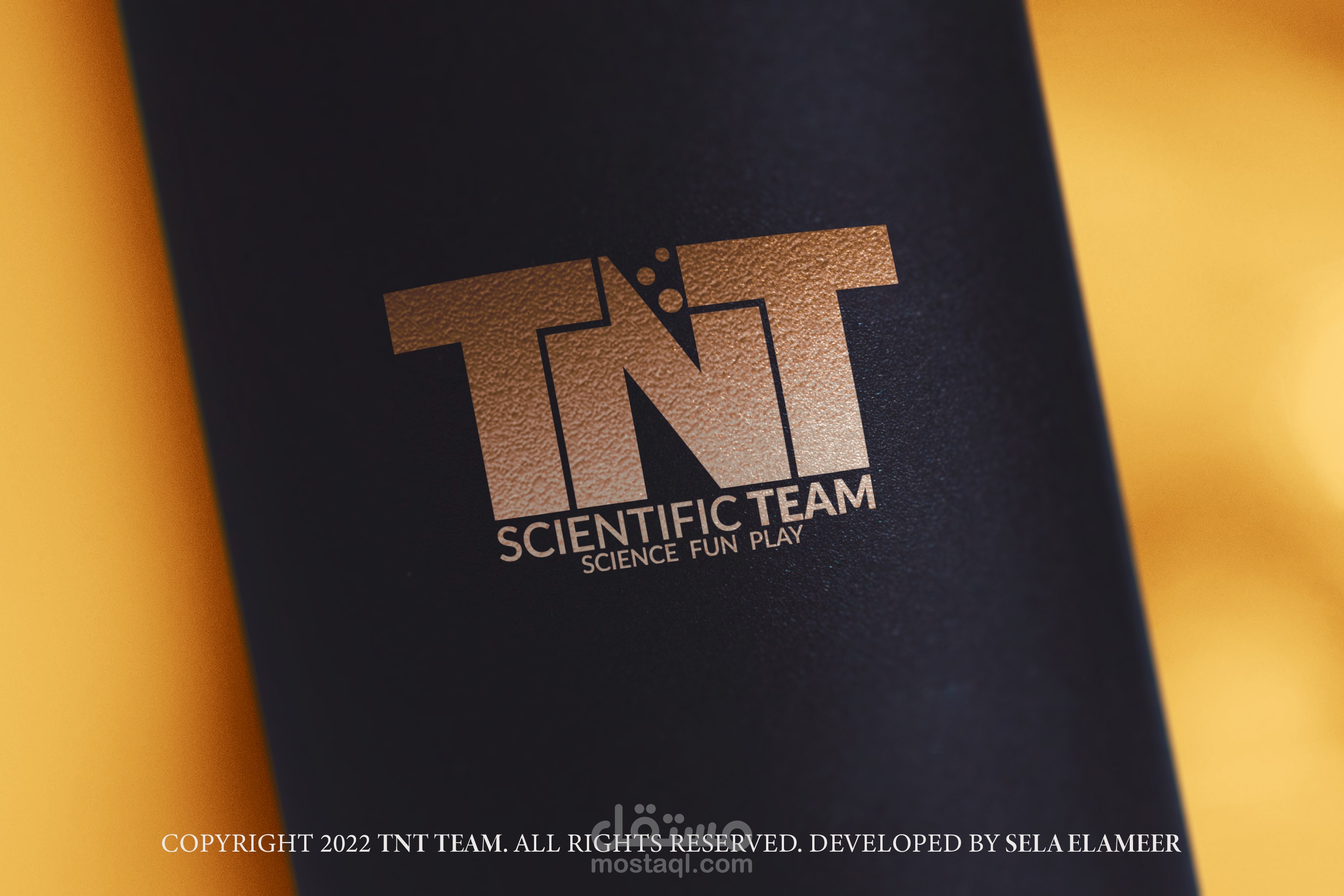 TNT Scientific Team LOGO