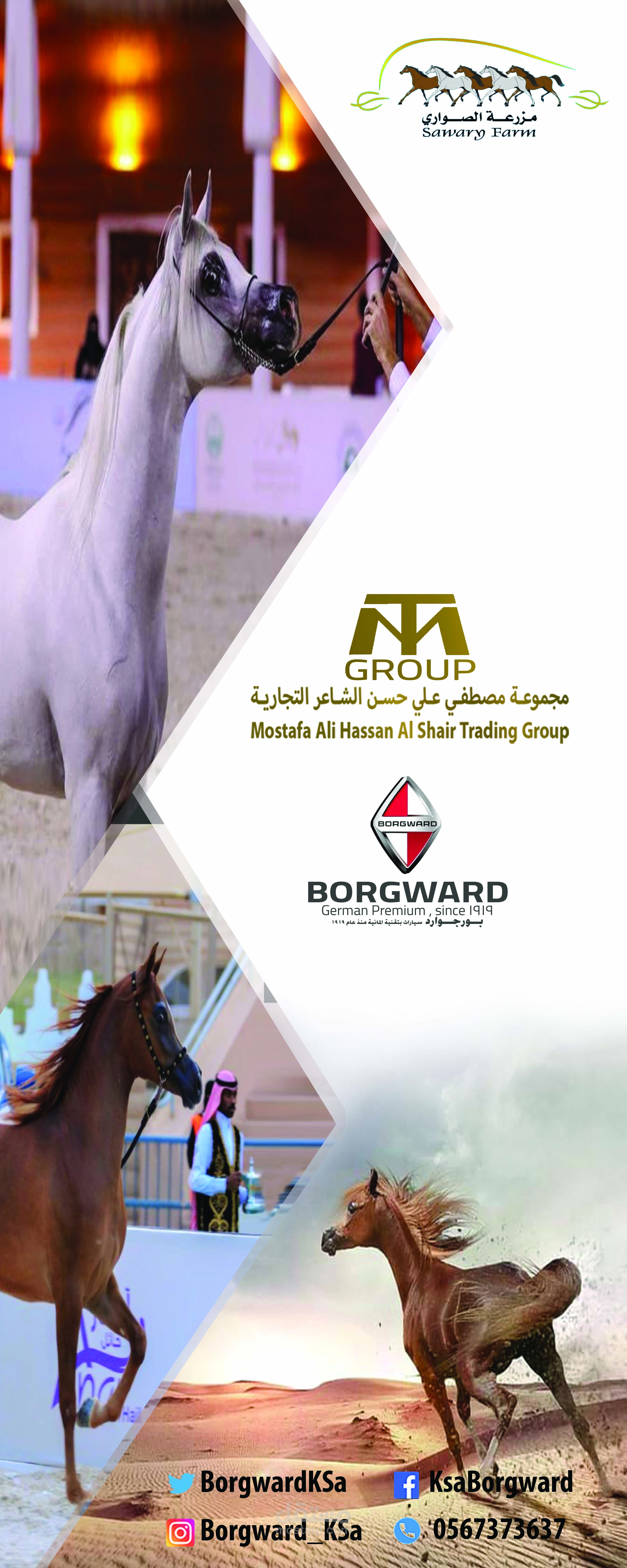 تصميم بانر ( بوستر ) لمسابقة جمال الخيول العربية الاصيلة