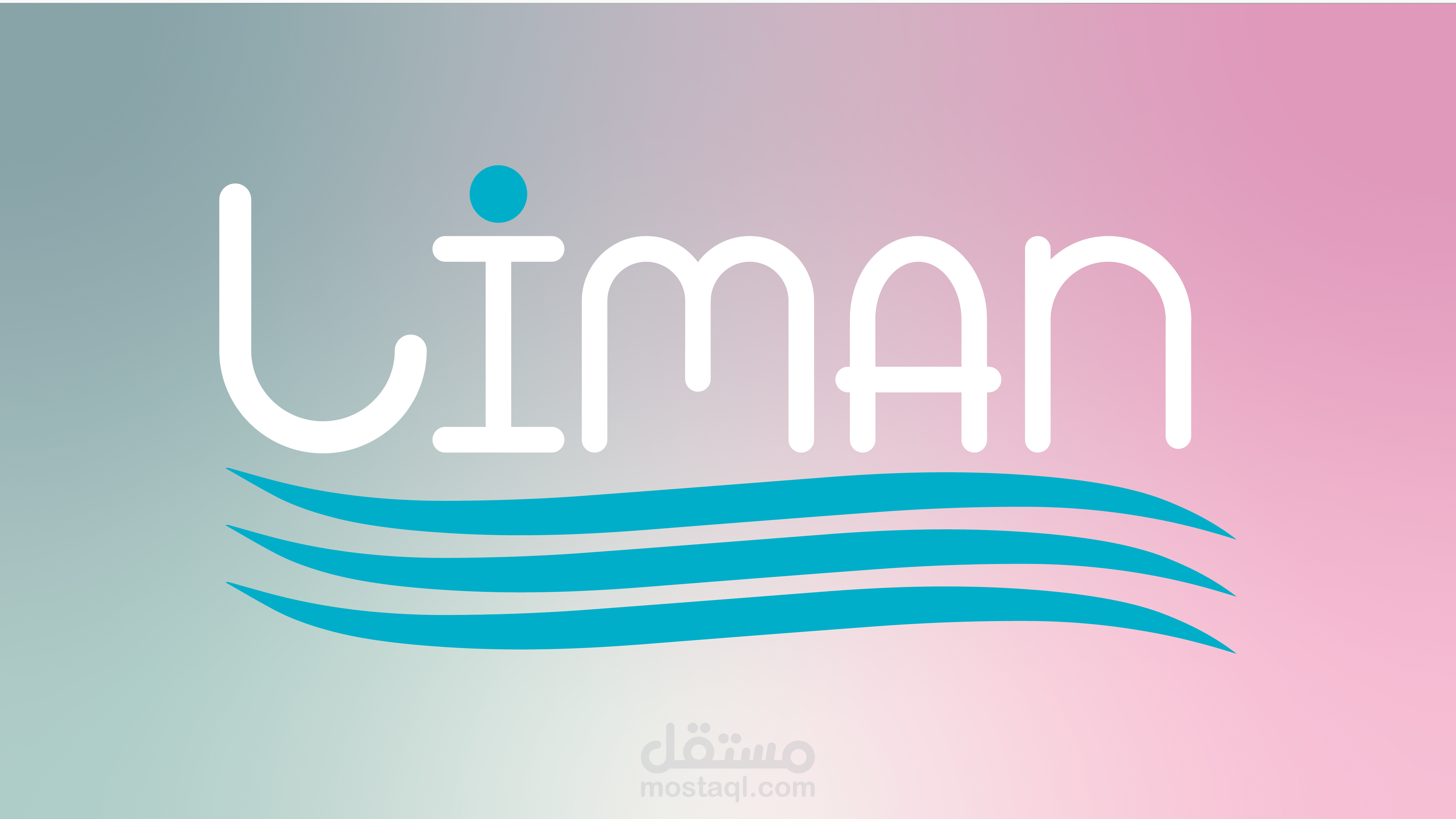 التدوين