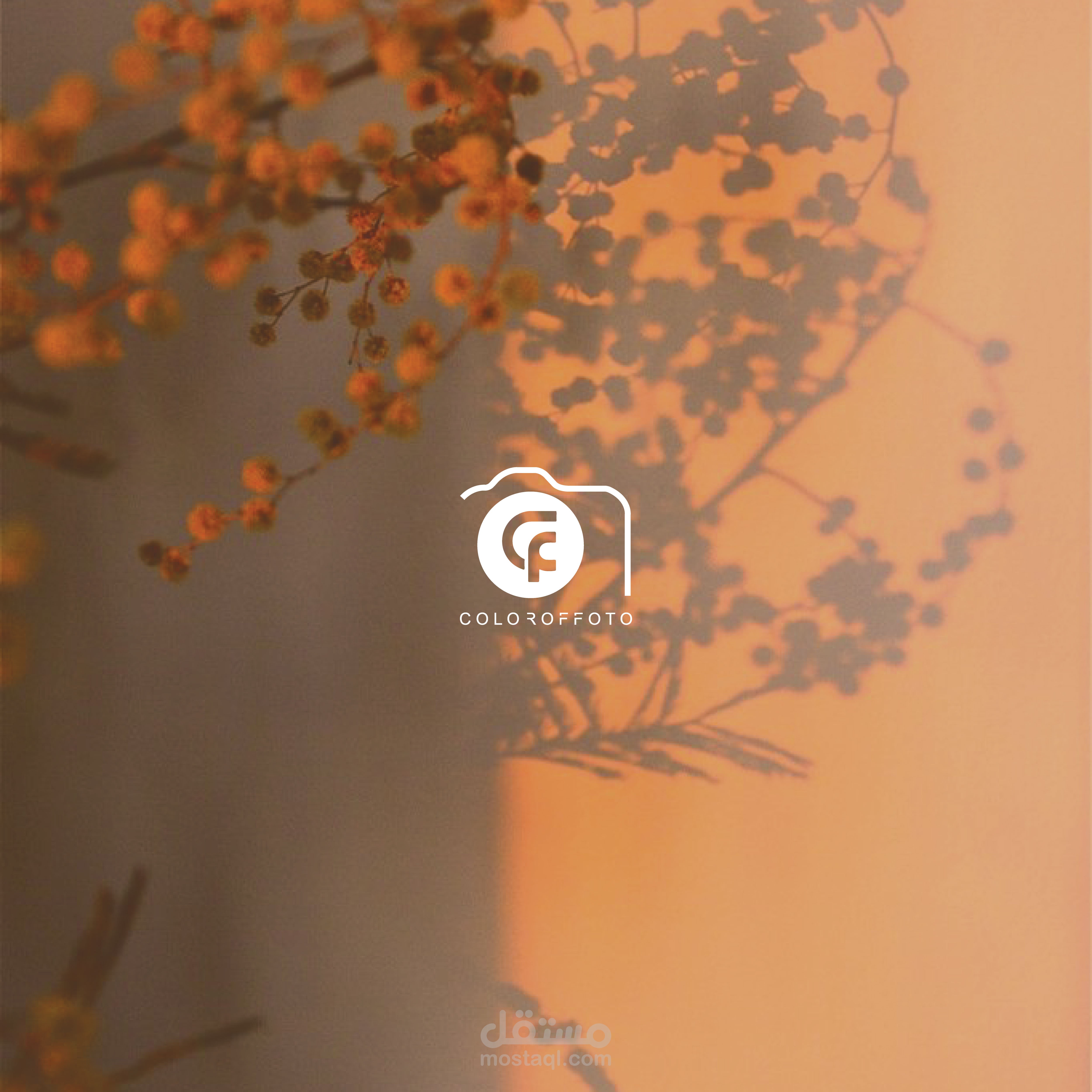 تصميم شعار I موقع الكتروني