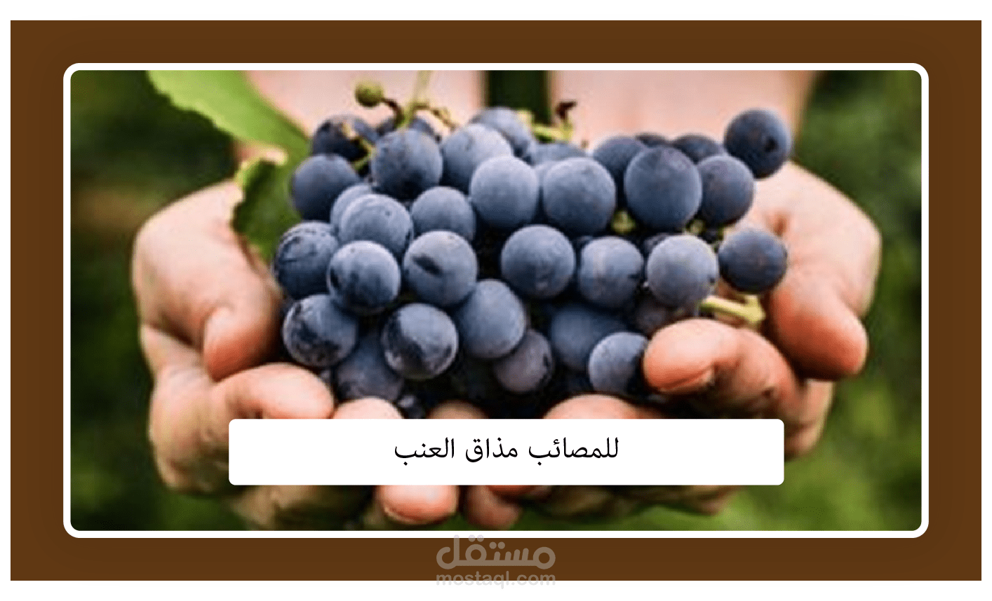 مقال رأي: للمصائب مذاق العنب