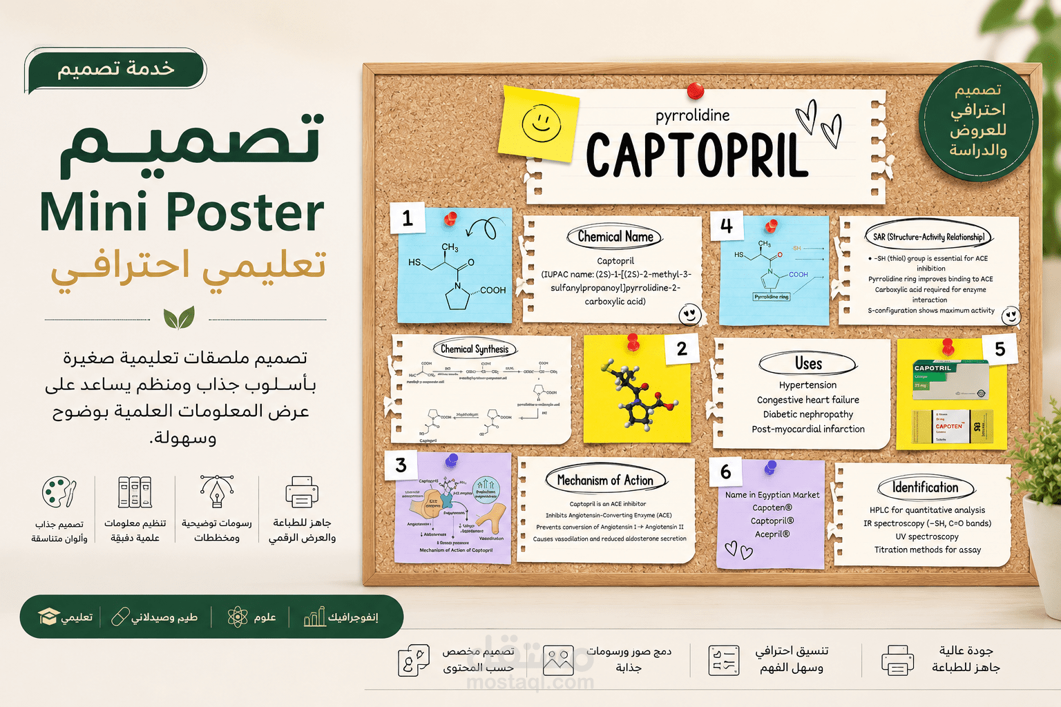 تصميم Mini Poster تعليمي احترافي لمادة الصيدلة