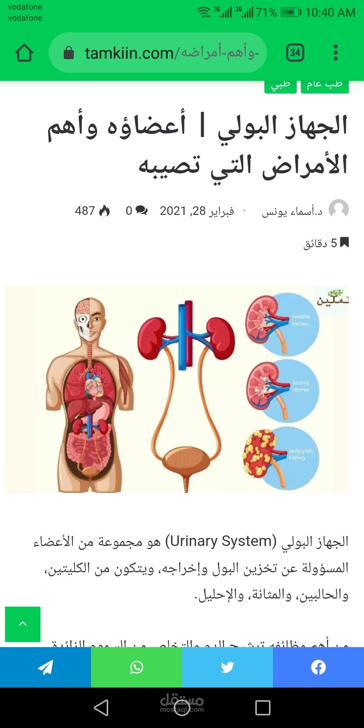 الجهاز البولي | أعضاؤه وأهم الأمراض التي تصيبه