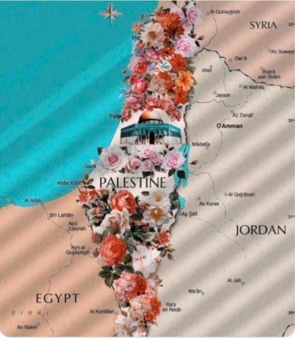 عمل بحث عن فلسطين