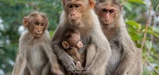 مقالي في كتابة القصص و العبر