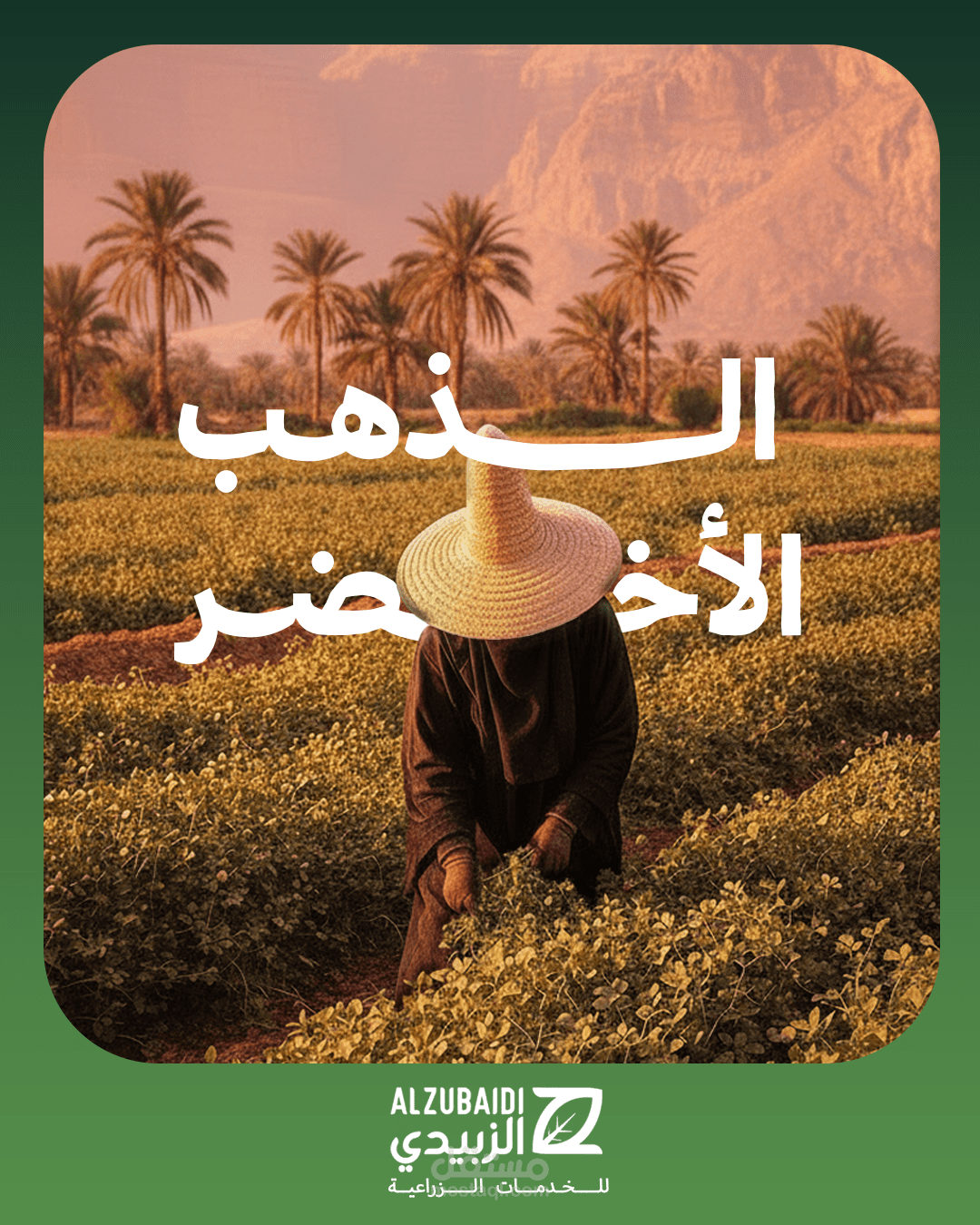 تصميم بوسترات سوشيال ميديا