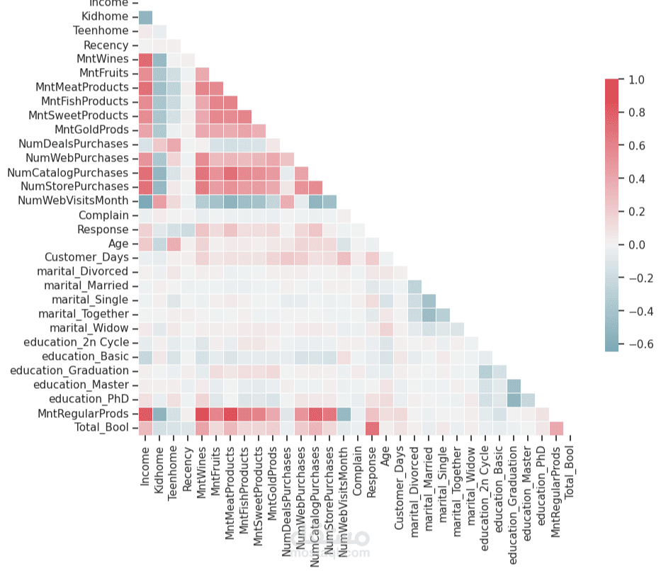 تحليل البيانات التسويقية والتصور Python