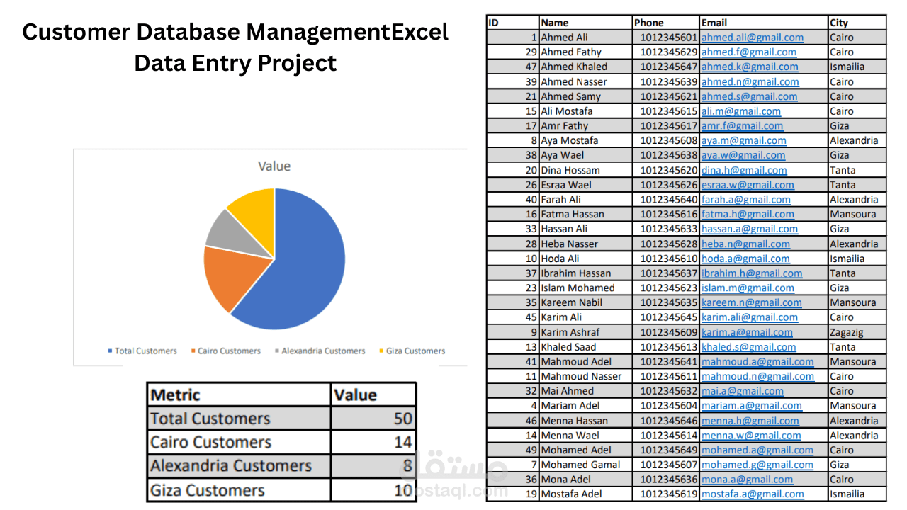 Excel Data Entry Project
