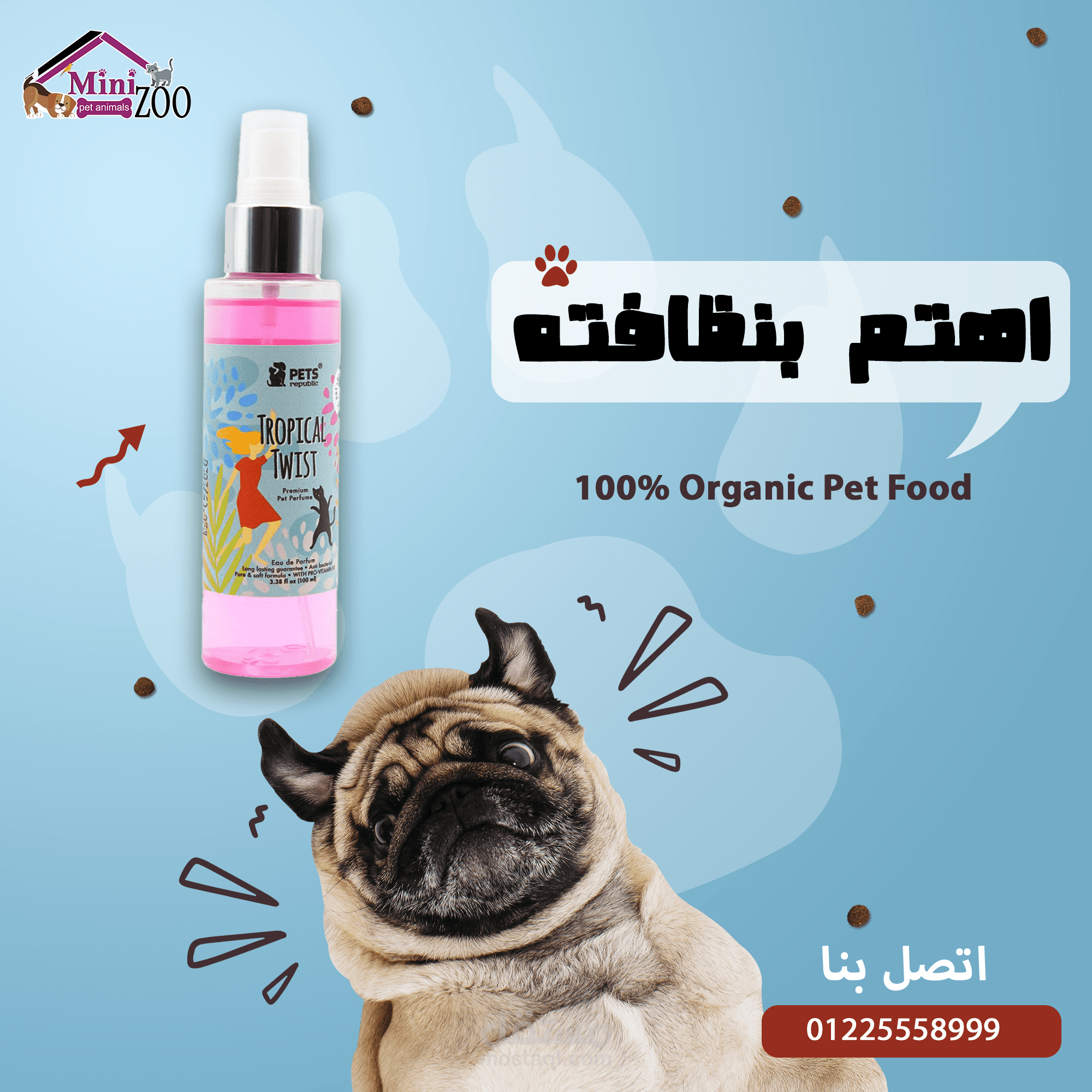 تصميم سوشيال ميديا في مجال العنايه بالحيوانات