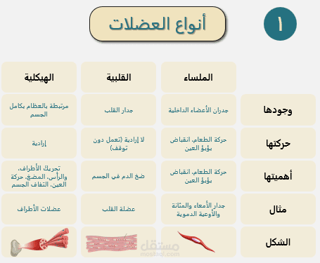 نموذج ملف (ملخص علوم عامة)