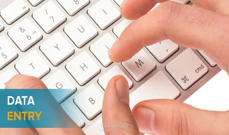 جمع وإدخال بيانات وتنظيمها بدقة وسرعة عالية على اكسيل Excel إنجليزي