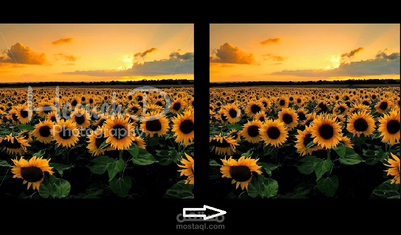 إزالة العلامة المائية من الصور