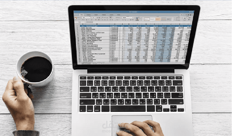 إستخراج وجمع بيانات ل500 شركة وإدخالها وتنظيمها بدقة وسرعة عالية على اكسيل Excel إنجليزي
