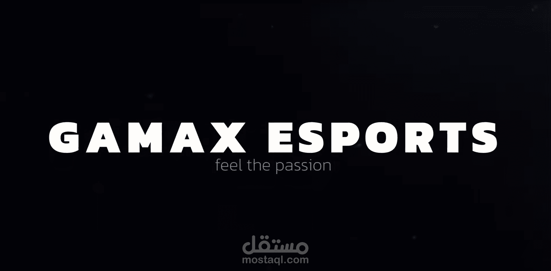 Gamax org promo Video