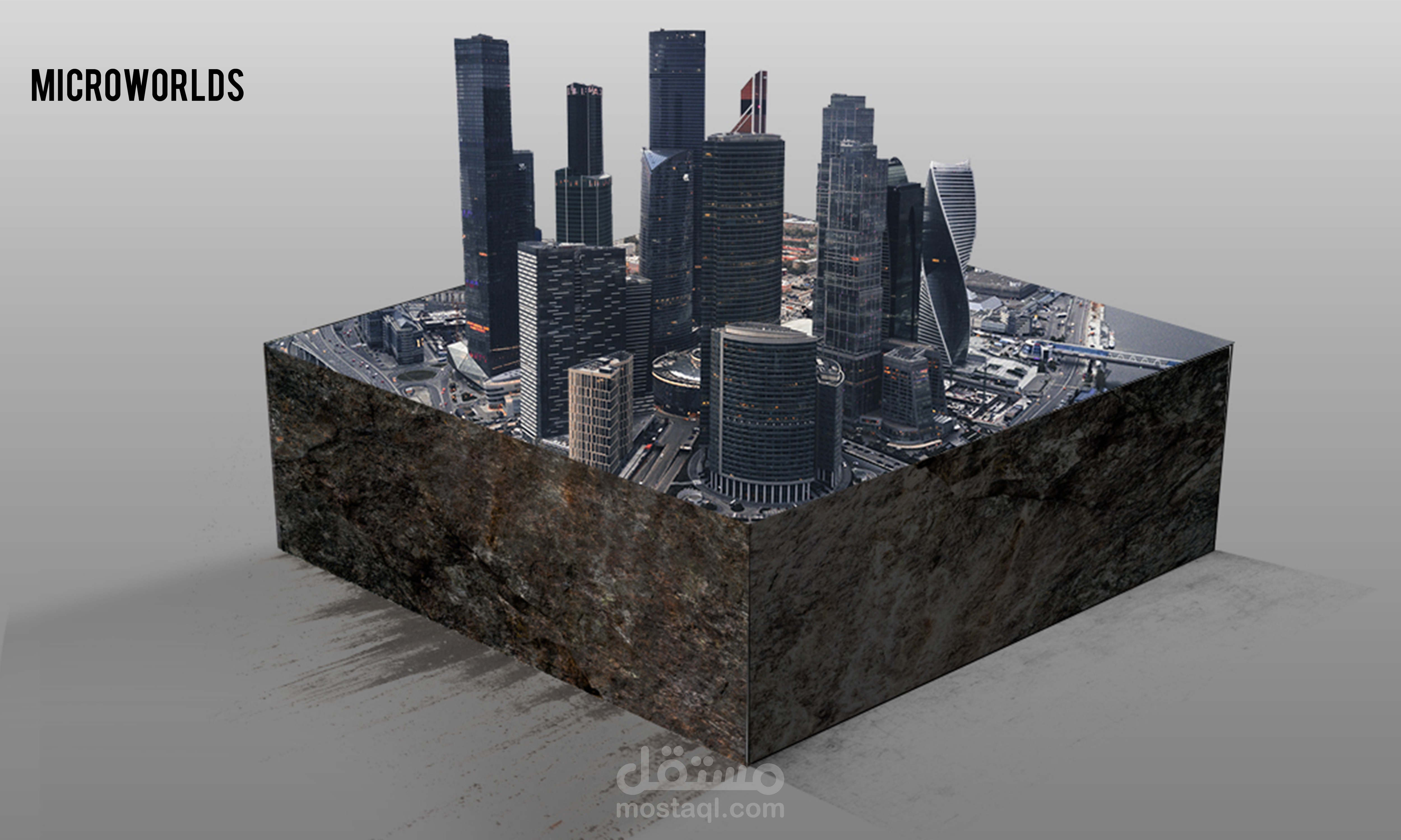 تصميم MicroWorlds