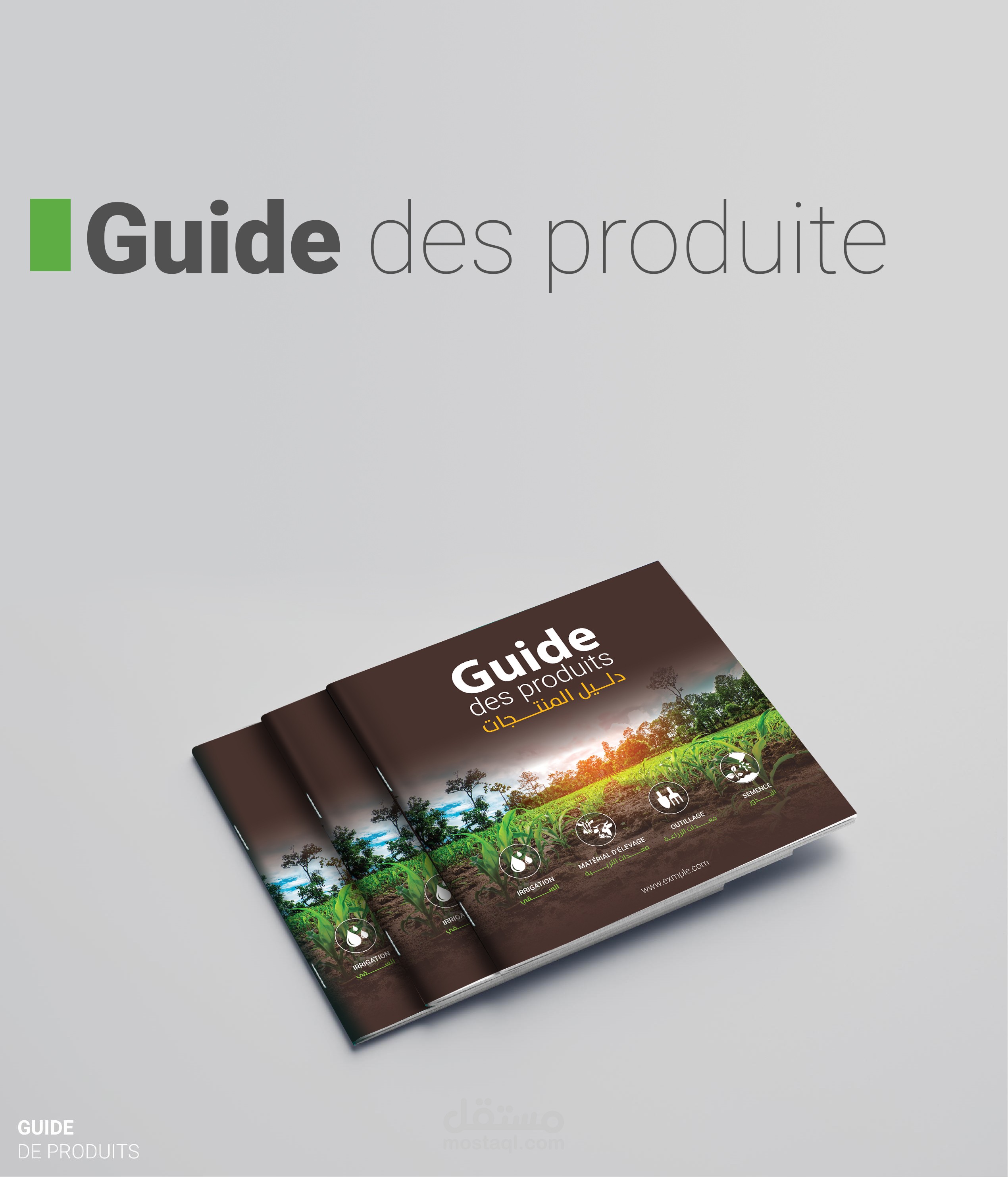 تصميم غلاف دليل منتجات