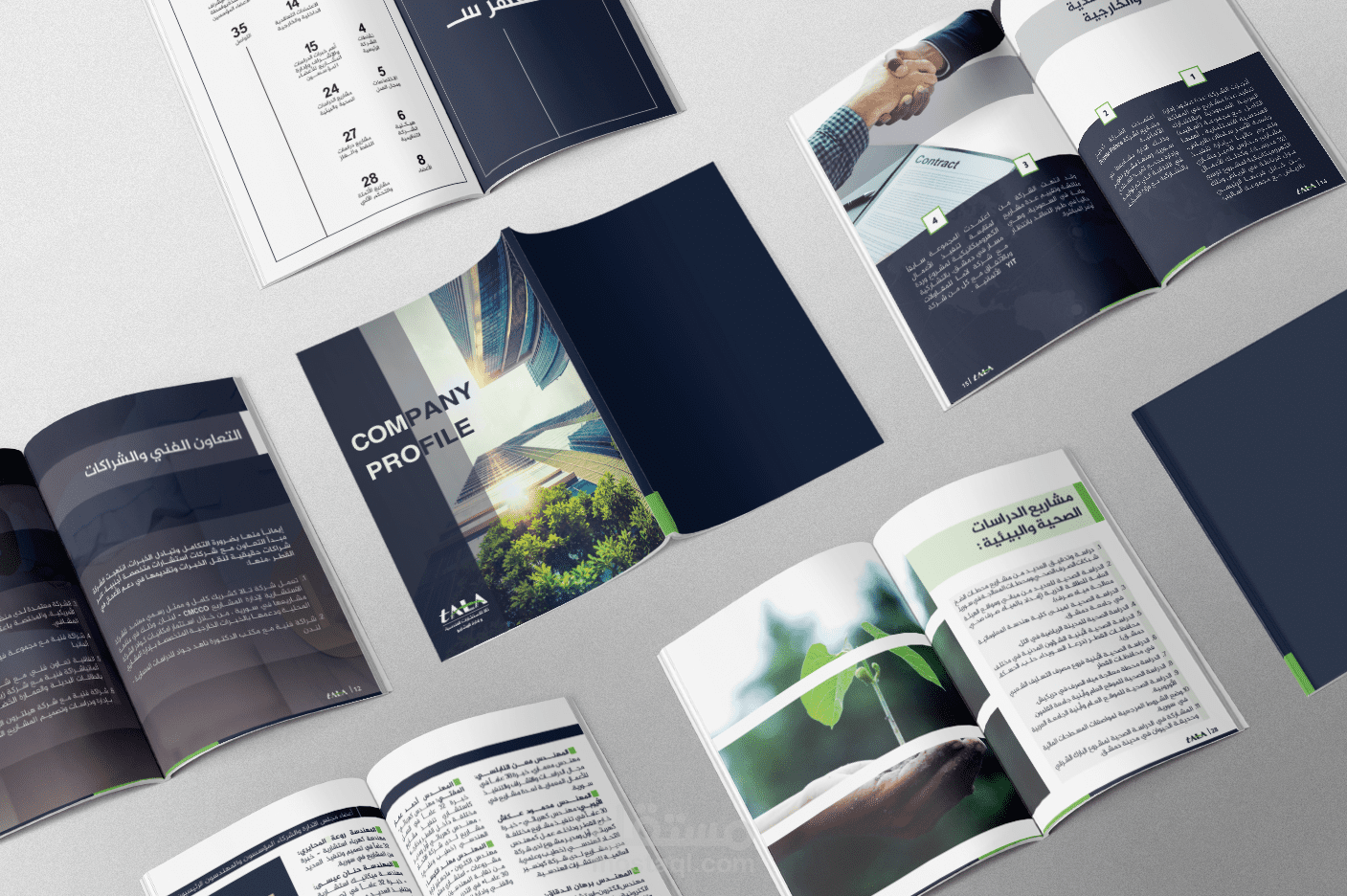 company profile