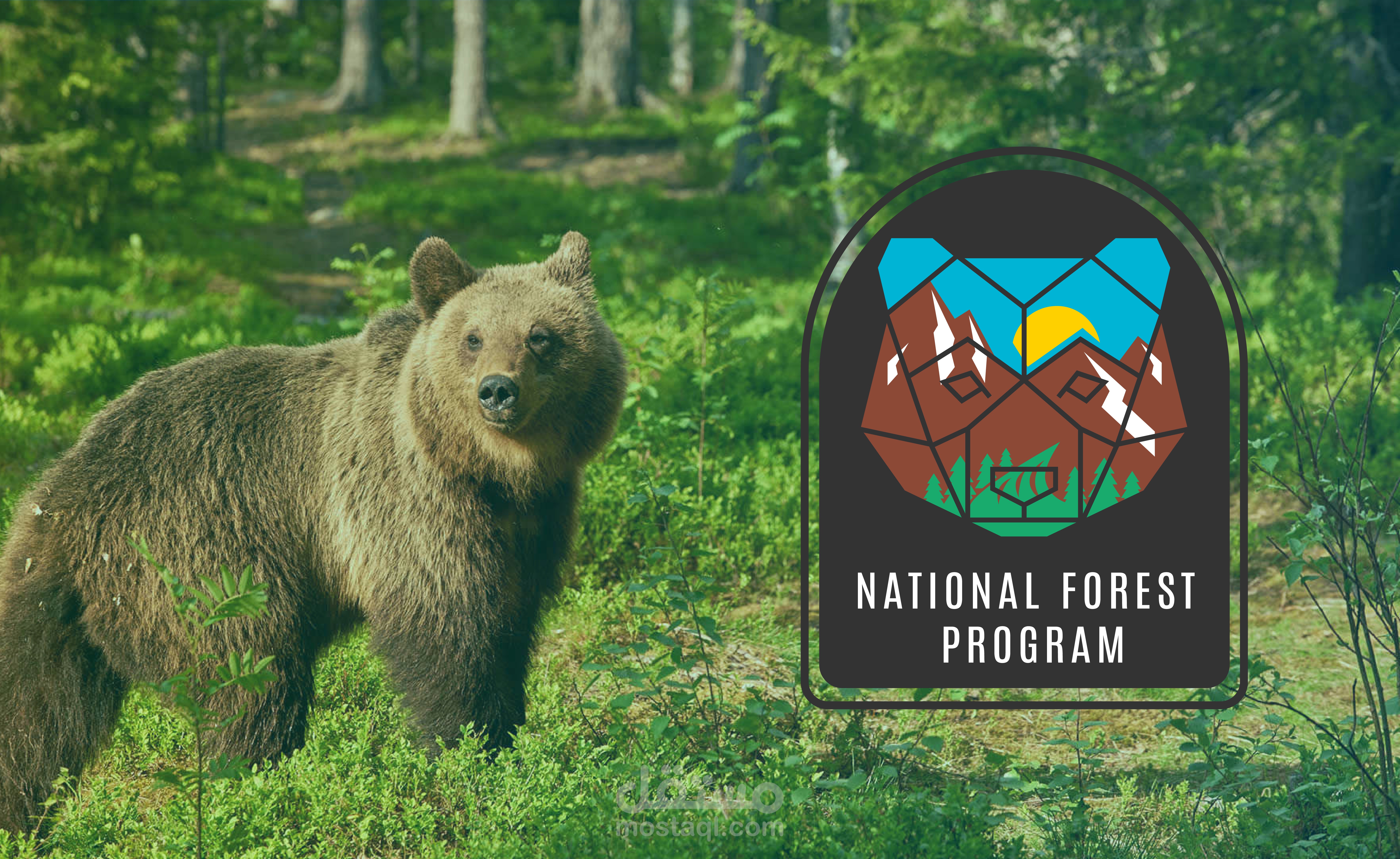 National Forest Program Logo
