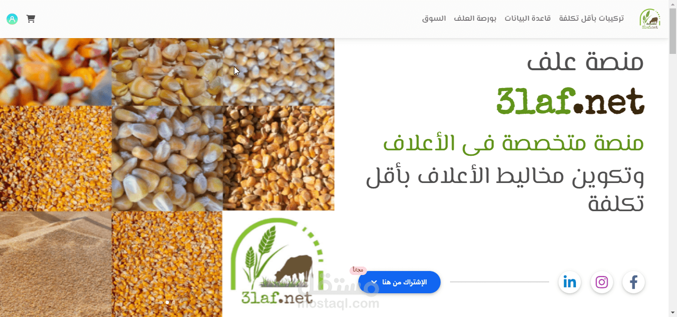 منصة علف دوت نت لخدمة مزارع الإنتاج الحيوانى