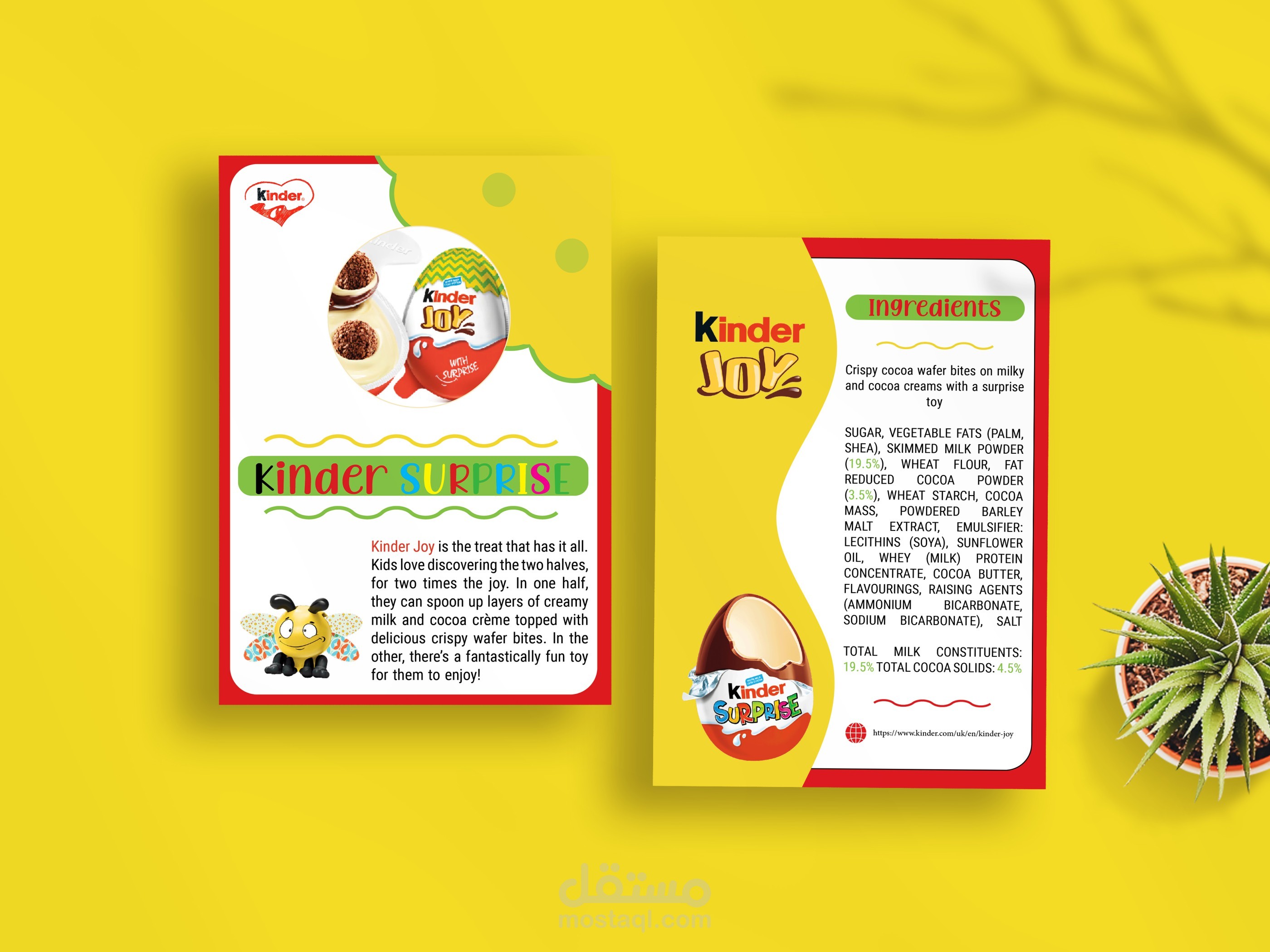 تصميم فلاير ( Flyer )
