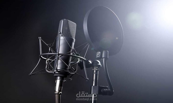 الأخبار باللغة العربية الفصحى