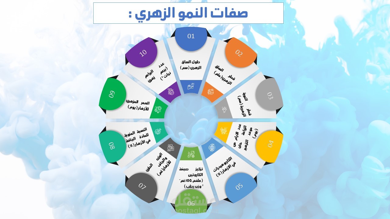 بوربوينت انفوجرافيك وانيميشن متحرك  لرسالة ماجستير لدكتورة