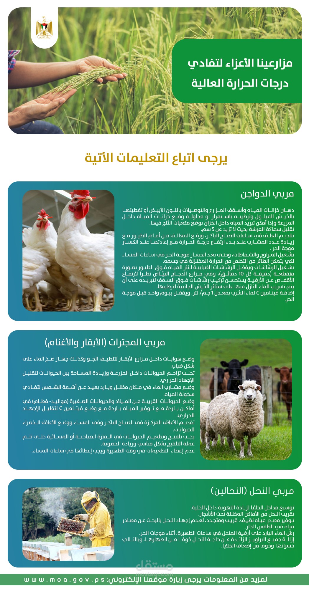 تصميم بوسترات توعوية لصالح مديرية الزراعة