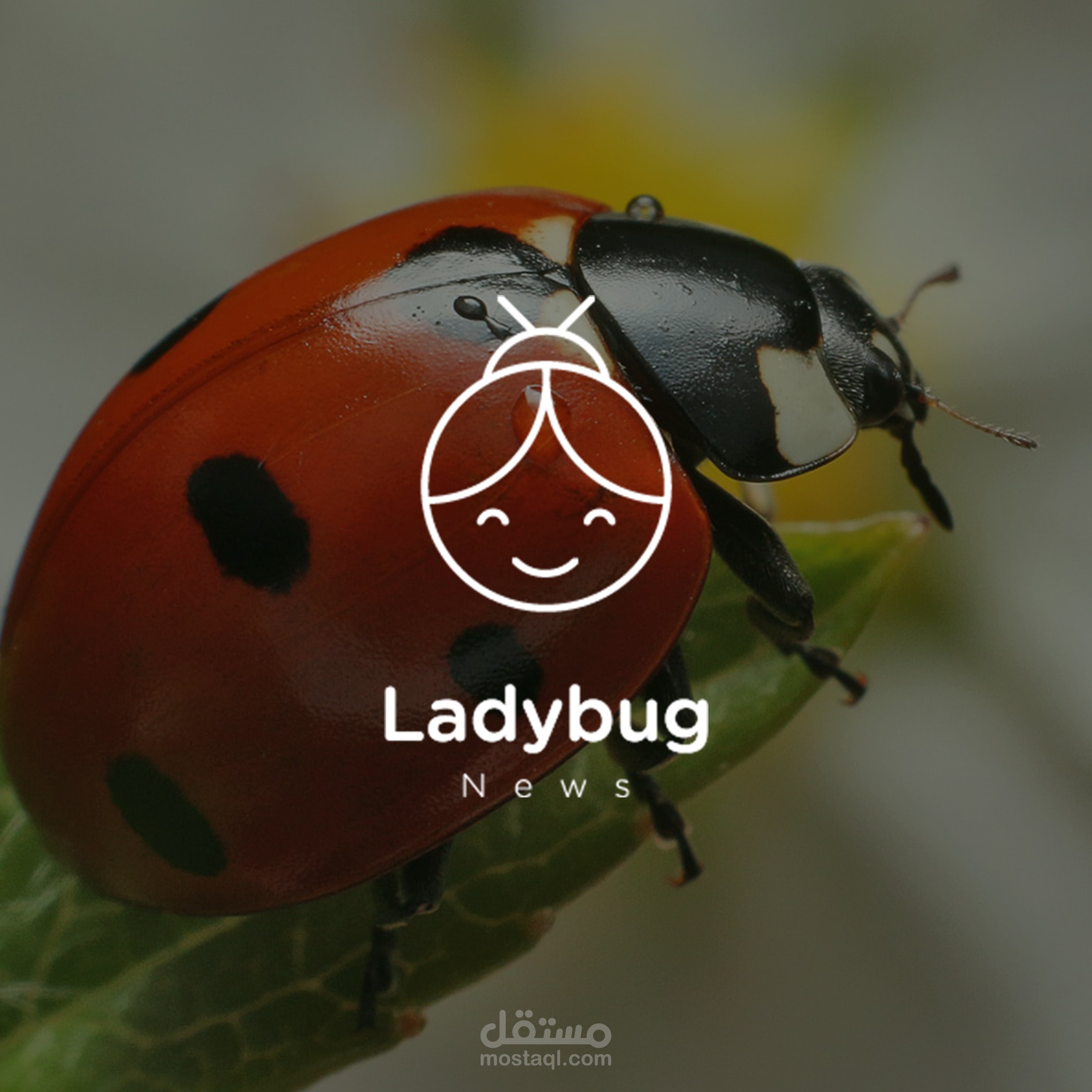 ladybug news logo
