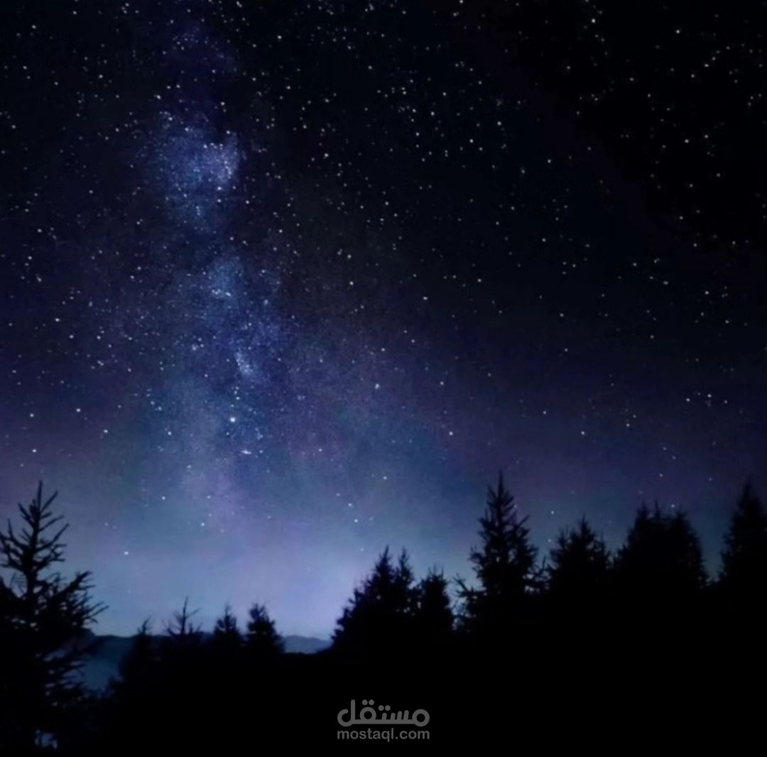 تعليق صوتي