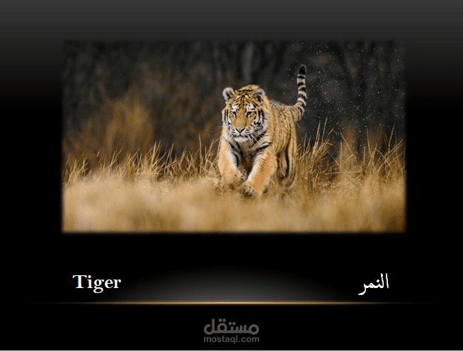 أصوات الحيوانات