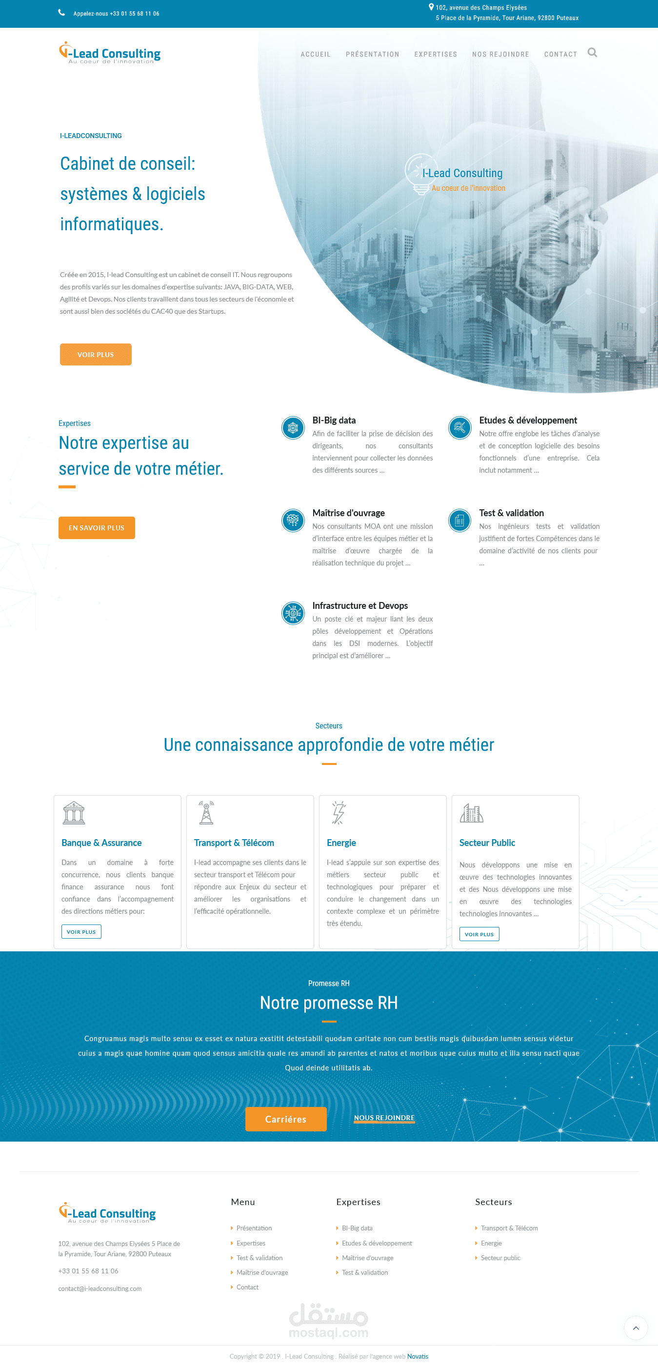 Lead consulting