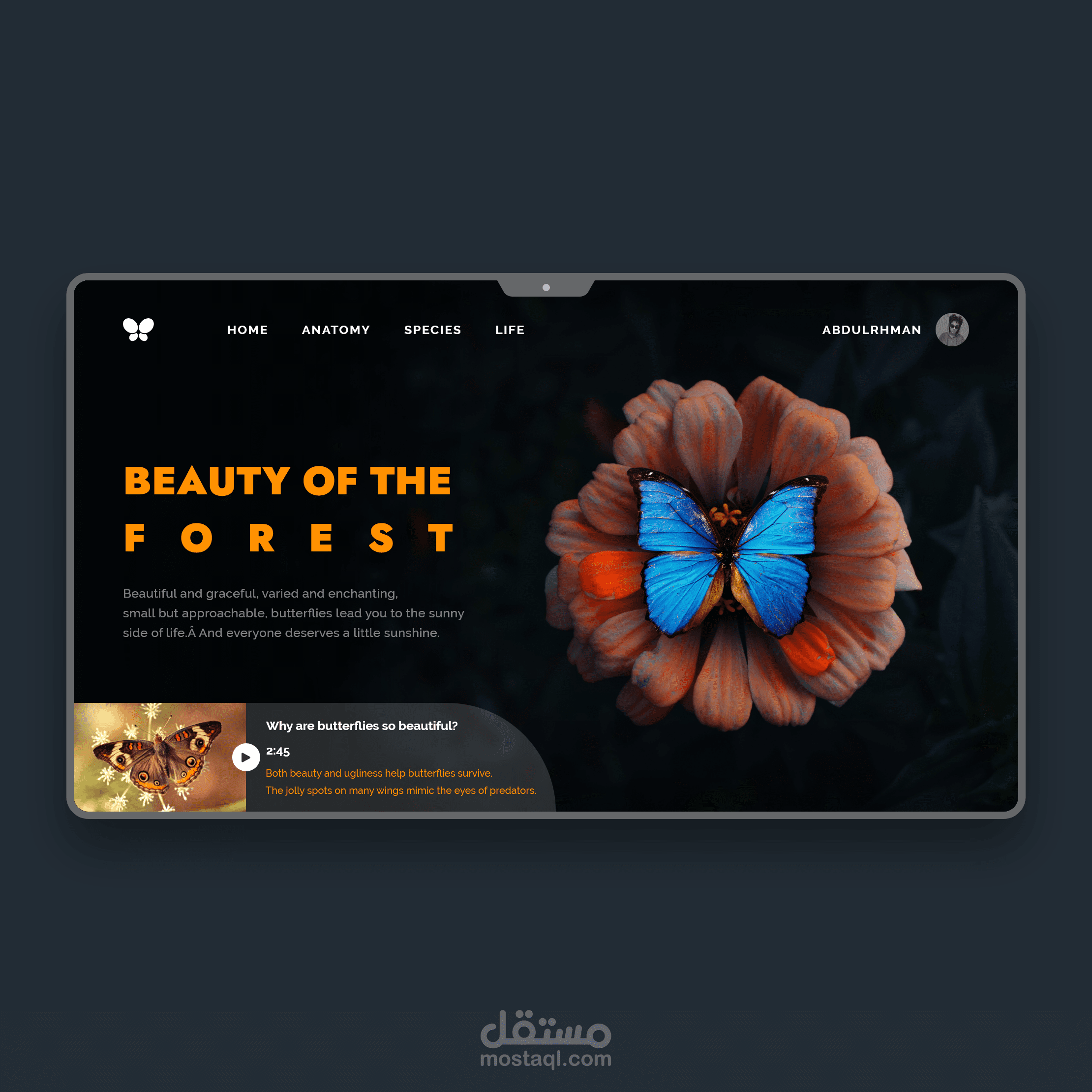 دا شغل خاص بي كمثال فقط