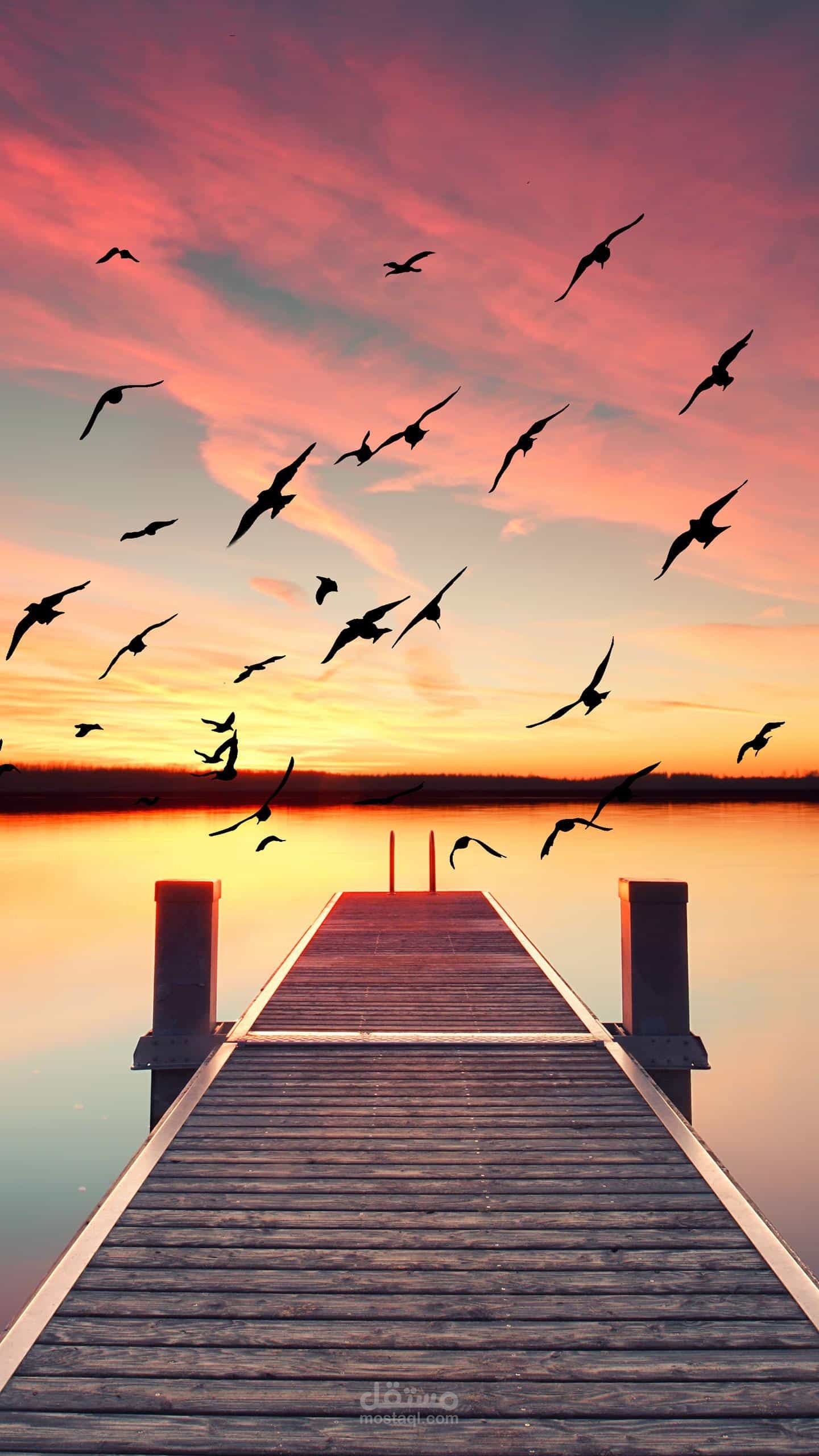 مونتاج وتصميم فيديوهات باحترافية