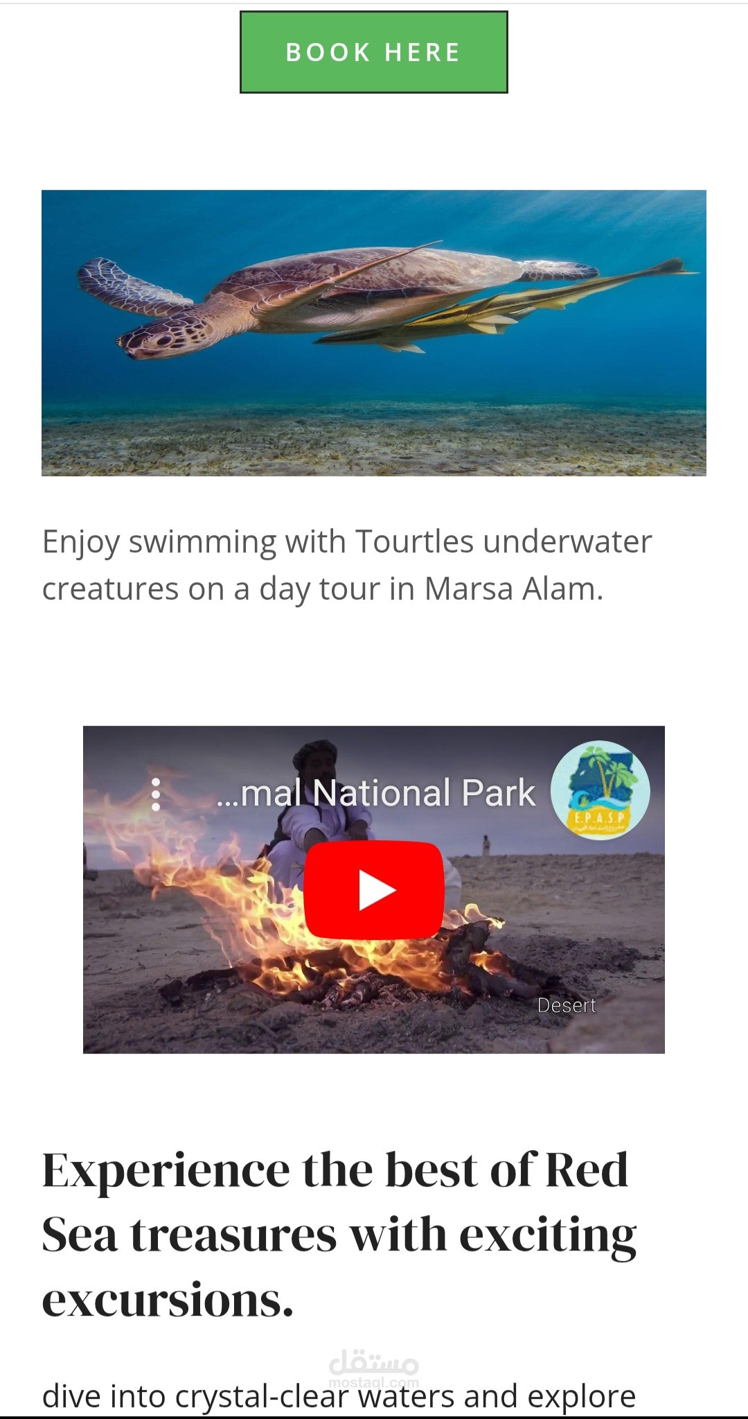 Website